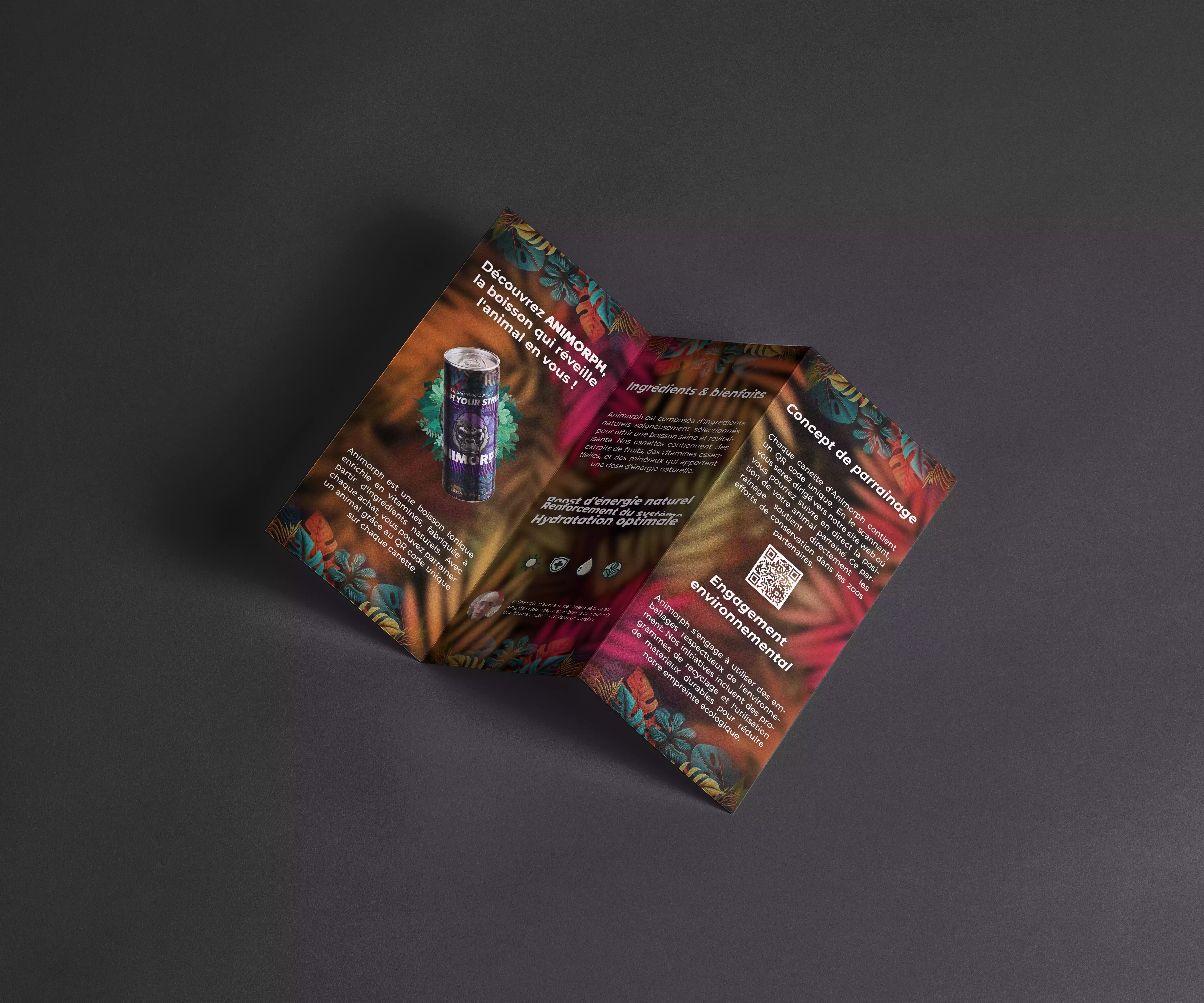 Brochure pour Animorph